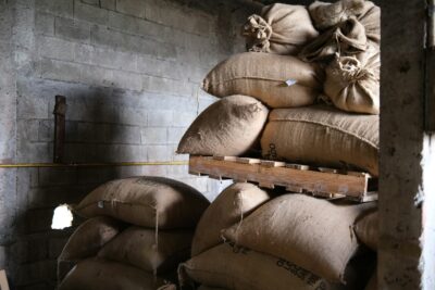 frances-valentin-vazquez-LaoYJxG1FQI-unsplash (2)