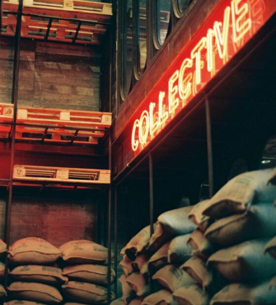 poochita-chumpoomivet-F-C6ij8stZY-unsplash